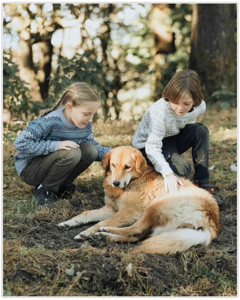 Children playing with their golden retriever during a relaxed outdoor family session.